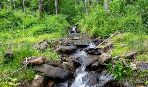 Photo #5 of SOLD property in Off Barton Spur Rd, Ferrum, VA 181.7 acres