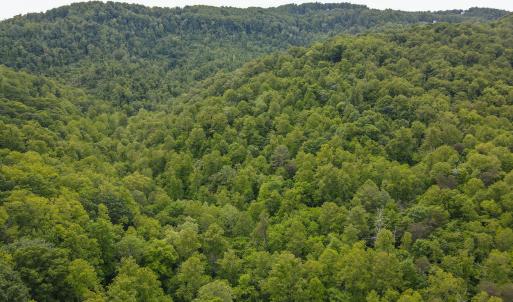 Photo #6 of SOLD property in Off Barton Spur Rd, Ferrum, VA 181.7 acres