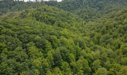 Photo #7 of SOLD property in Off Barton Spur Rd, Ferrum, VA 181.7 acres
