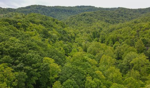Photo #8 of SOLD property in Off Barton Spur Rd, Ferrum, VA 181.7 acres