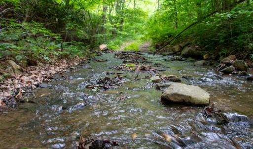 Photo #21 of SOLD property in Off Barton Spur Rd, Ferrum, VA 181.7 acres