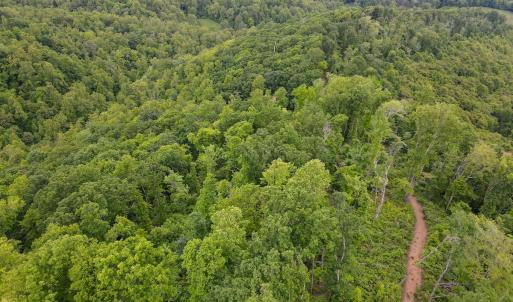 Photo #22 of SOLD property in Off Barton Spur Rd, Ferrum, VA 181.7 acres