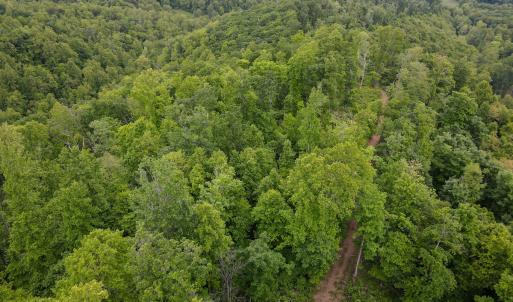 Photo #23 of SOLD property in Off Barton Spur Rd, Ferrum, VA 181.7 acres