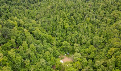 Photo #27 of SOLD property in Off Barton Spur Rd, Ferrum, VA 181.7 acres