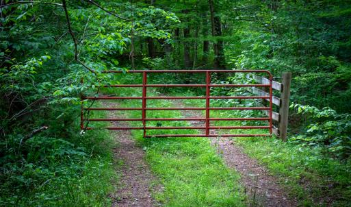 Photo #29 of SOLD property in Off Barton Spur Rd, Ferrum, VA 181.7 acres