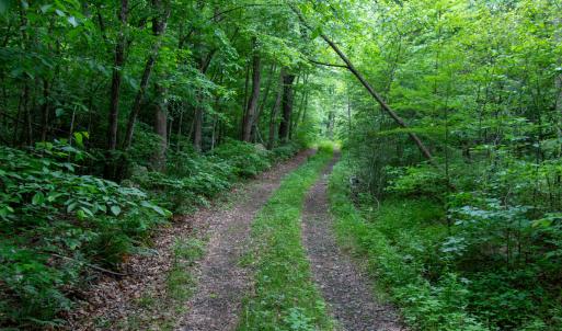 Photo #30 of SOLD property in Off Barton Spur Rd, Ferrum, VA 181.7 acres