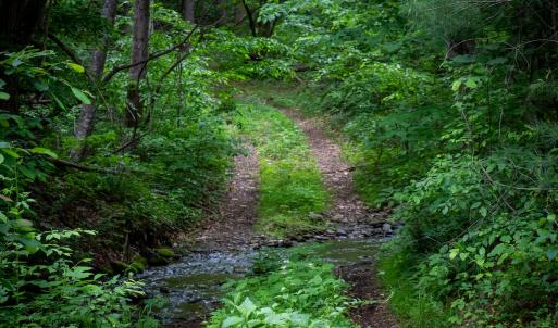 Photo #31 of SOLD property in Off Barton Spur Rd, Ferrum, VA 181.7 acres