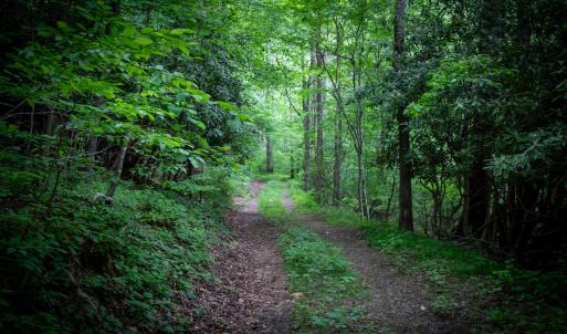 Photo #32 of SOLD property in Off Barton Spur Rd, Ferrum, VA 181.7 acres