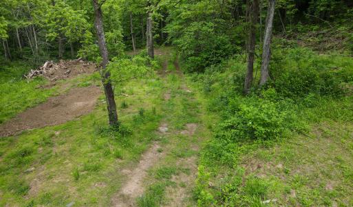 Photo #33 of SOLD property in Off Barton Spur Rd, Ferrum, VA 181.7 acres