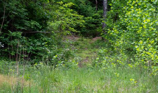 Photo #34 of SOLD property in Off Barton Spur Rd, Ferrum, VA 181.7 acres