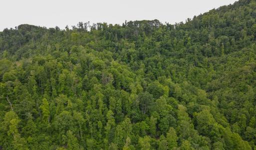 Photo #35 of SOLD property in Off Barton Spur Rd, Ferrum, VA 181.7 acres