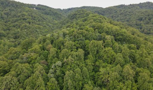 Photo #36 of SOLD property in Off Barton Spur Rd, Ferrum, VA 181.7 acres