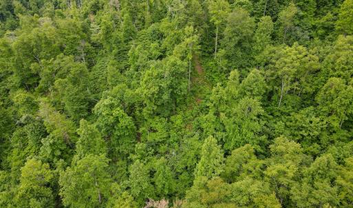 Photo #39 of SOLD property in Off Barton Spur Rd, Ferrum, VA 181.7 acres