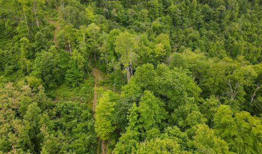 Photo #40 of SOLD property in Off Barton Spur Rd, Ferrum, VA 181.7 acres