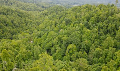Photo #42 of SOLD property in Off Barton Spur Rd, Ferrum, VA 181.7 acres