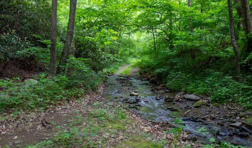 Photo #43 of SOLD property in Off Barton Spur Rd, Ferrum, VA 181.7 acres