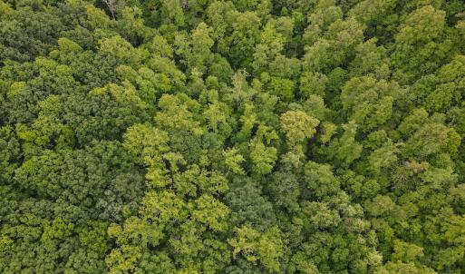 Photo #49 of SOLD property in Off Barton Spur Rd, Ferrum, VA 181.7 acres