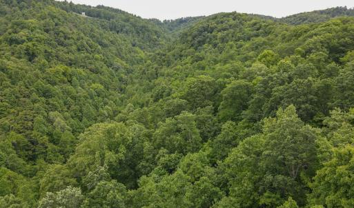 Photo #52 of SOLD property in Off Barton Spur Rd, Ferrum, VA 181.7 acres
