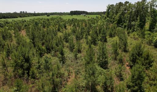 Photo #13 of SOLD property in Off Shannon Road, Shannon, NC 51.9 acres