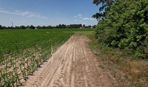 Photo #5 of SOLD property in Off Shannon Road, Shannon, NC 51.9 acres