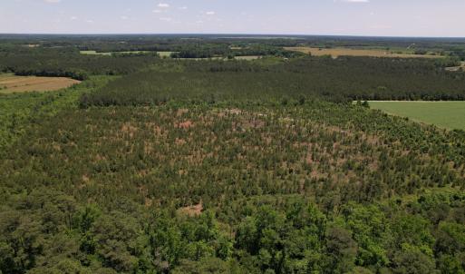 Photo #6 of SOLD property in Off Shannon Road, Shannon, NC 51.9 acres