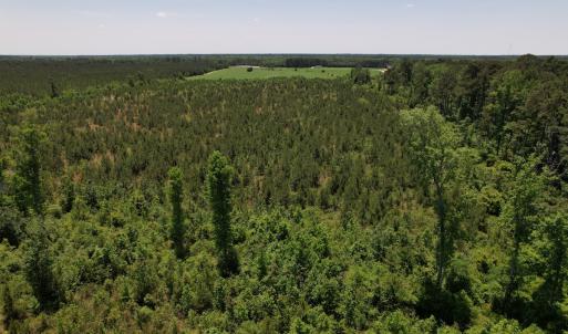 Photo #8 of SOLD property in Off Shannon Road, Shannon, NC 51.9 acres