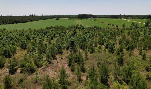 Photo #9 of SOLD property in Off Shannon Road, Shannon, NC 51.9 acres