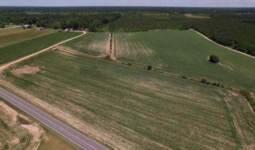 Photo #21 of SOLD property in Off Shannon Road, Shannon, NC 51.9 acres