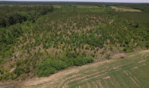 Photo #22 of SOLD property in Off Shannon Road, Shannon, NC 51.9 acres