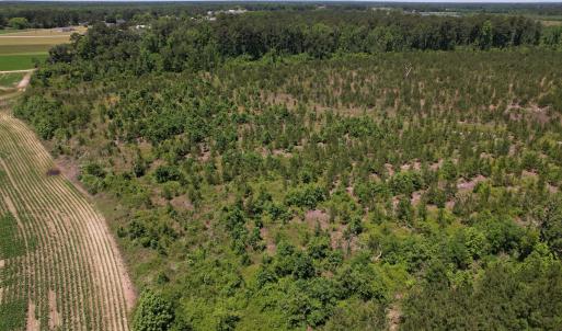 Photo #23 of SOLD property in Off Shannon Road, Shannon, NC 51.9 acres