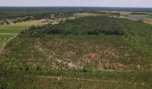 Photo #24 of SOLD property in Off Shannon Road, Shannon, NC 51.9 acres
