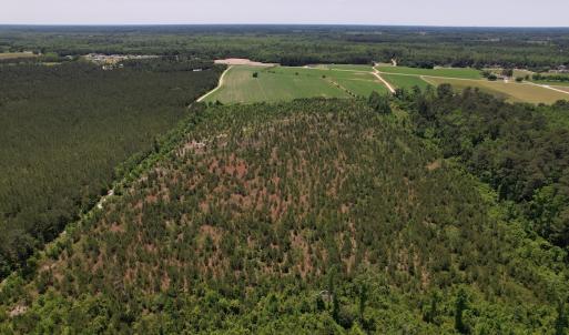 Photo #26 of SOLD property in Off Shannon Road, Shannon, NC 51.9 acres