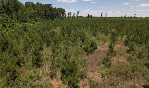 Photo #29 of SOLD property in Off Shannon Road, Shannon, NC 51.9 acres