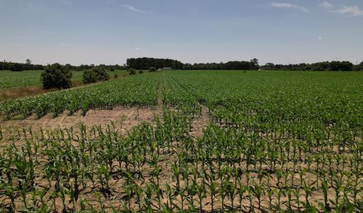 Photo #31 of SOLD property in Off Shannon Road, Shannon, NC 51.9 acres