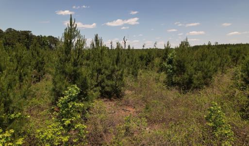 Photo #33 of SOLD property in Off Shannon Road, Shannon, NC 51.9 acres