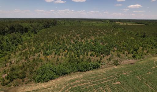 Photo #34 of SOLD property in Off Shannon Road, Shannon, NC 51.9 acres