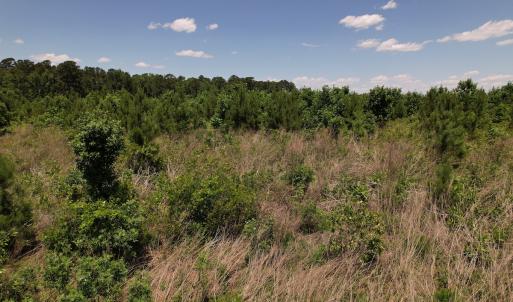 Photo #36 of SOLD property in Off Shannon Road, Shannon, NC 51.9 acres