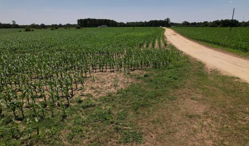 Photo #37 of SOLD property in Off Shannon Road, Shannon, NC 51.9 acres