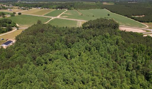 Photo #11 of SOLD property in Off Fodiesville Road, Shannon, NC 9.6 acres