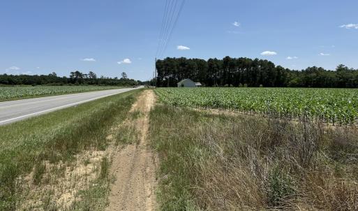 Photo #15 of SOLD property in Off Fodiesville Road, Shannon, NC 9.6 acres