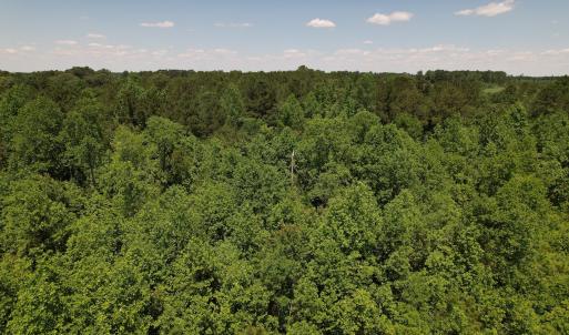 Photo #18 of SOLD property in Off Fodiesville Road, Shannon, NC 9.6 acres