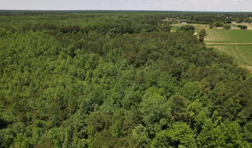 Photo #6 of SOLD property in Off Fodiesville Road, Shannon, NC 9.6 acres