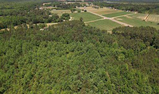 Photo #8 of SOLD property in Off Fodiesville Road, Shannon, NC 9.6 acres