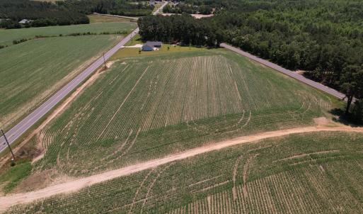 Photo #10 of SOLD property in Off Fodiesville Road, Shannon, NC 9.6 acres