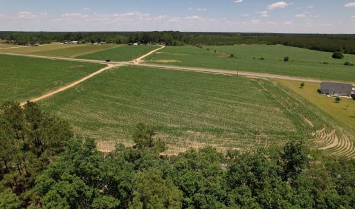 Photo #21 of SOLD property in Off Fodiesville Road, Shannon, NC 9.6 acres