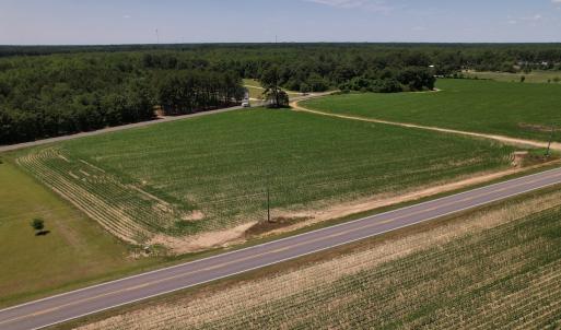 Photo #23 of SOLD property in Off Fodiesville Road, Shannon, NC 9.6 acres
