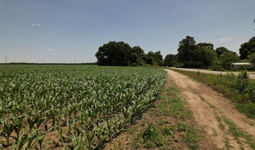 Photo #11 of SOLD property in Off Fodiesville Road, Shannon, NC 4.8 acres