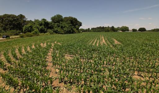 Photo #14 of SOLD property in Off Fodiesville Road, Shannon, NC 4.8 acres