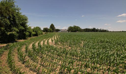 Photo #16 of SOLD property in Off Fodiesville Road, Shannon, NC 4.8 acres