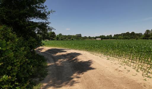 Photo #17 of SOLD property in Off Fodiesville Road, Shannon, NC 4.8 acres